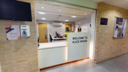 iQ Alice House - Gallery - 7