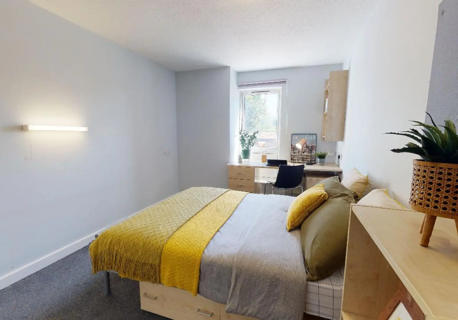  Bronze En-Suite Plus  -  iQ Fiveways House  - Gallery -  1