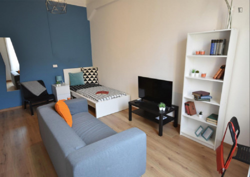 Spacious single bedroom near Humanitas University
