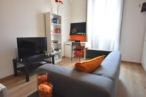 Spacious single bedroom near Humanitas University