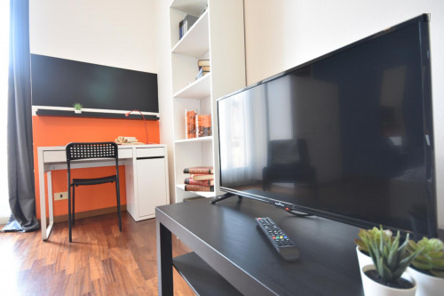 Wonderful single bedroom near Humanitas University