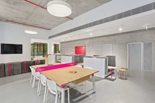 Scape Swanston - Gallery - 17