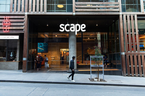 Scape Swanston