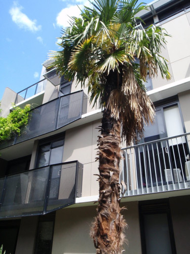 Student Living on Riversdale - Gallery - 12