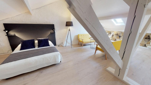 Large double bedroom in Centre Ville