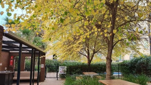 Student Living - 570 Lygon - Communal Area