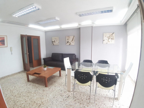 Homely single bedroom near the Merced campus of Universidad de Murcia  - Gallery -  5