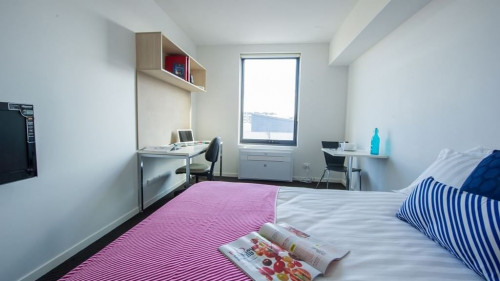 Student Living on Cobden