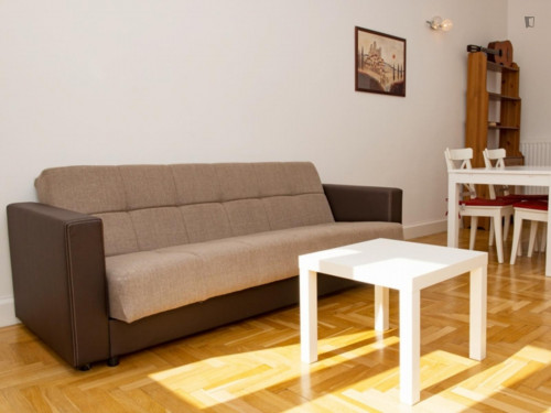 Bright 2-bedrooms apartment near Budapest Eye