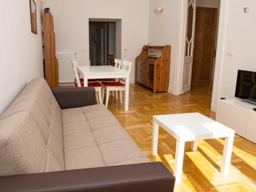 Bright 2-bedrooms apartment near Budapest Eye