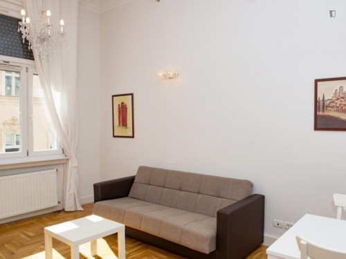 Bright 2-bedrooms apartment near Budapest Eye