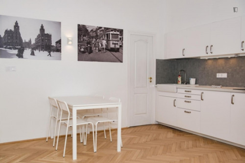 Beautiful 2-bedroom apartment near Oktogon metro station - Gallery - 7