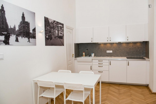 Beautiful 2-bedroom apartment near Oktogon metro station - Gallery - 8