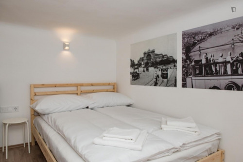Beautiful 2-bedroom apartment near Oktogon metro station