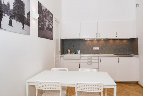 Beautiful 2-bedroom apartment near Oktogon metro station - Gallery - 6