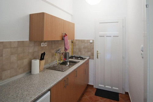 Spacious 1-bedroom apartment near Eötvös Loránd Tudományegyetem University