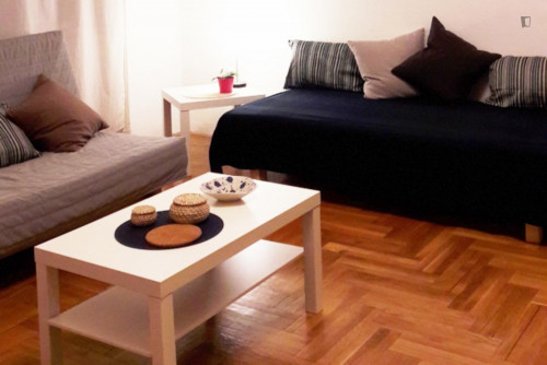 Cool 2-bedroom apartment near Blaha Lujza tér metro station