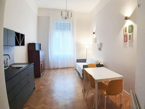 Nice 1-bedroom apartment near Kodály körönd metro station