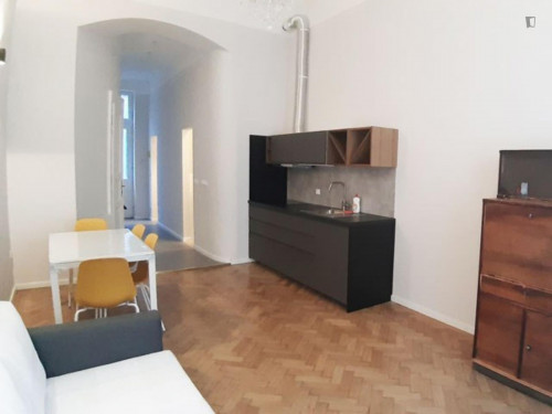 Nice 1-bedroom apartment near Kodály körönd metro station  - Gallery -  5