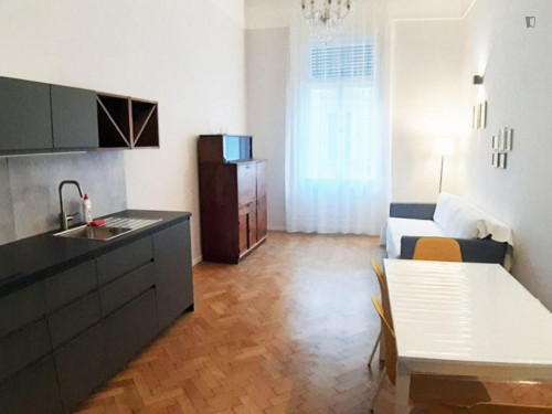 Nice 1-bedroom apartment near Kodály körönd metro station - Gallery - 6