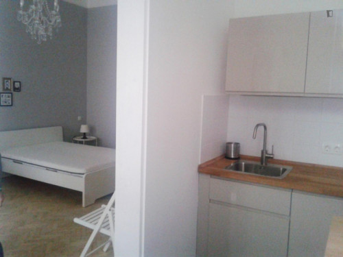 Cool 1-bedroom apartment near Blaha Lujza tér metro station - Gallery - 7