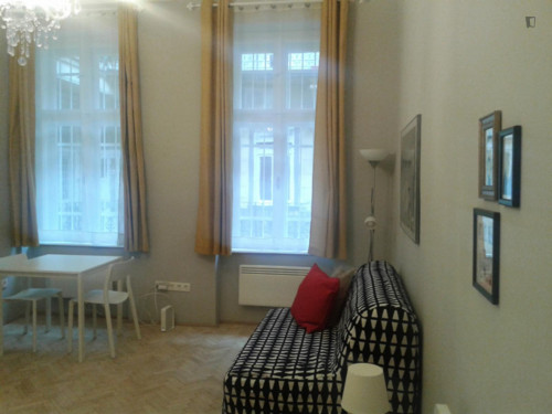 Cool 1-bedroom apartment near Blaha Lujza tér metro station - Gallery - 5