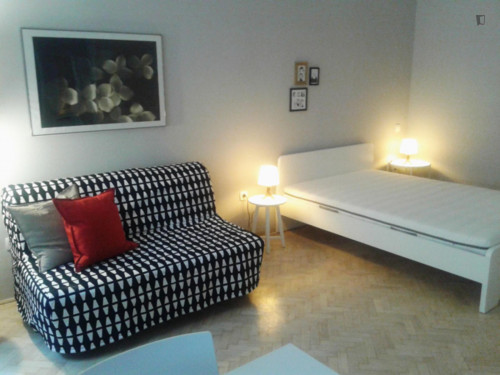 Cool 1-bedroom apartment near Blaha Lujza tér metro station