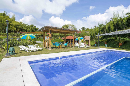 Quindio  - Gallery -  2