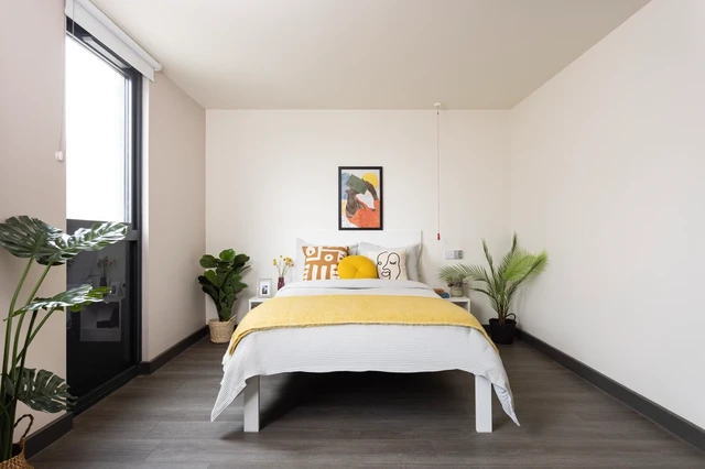  Large Standard Double Studio  -  براس فاوندرز  - Gallery -  1