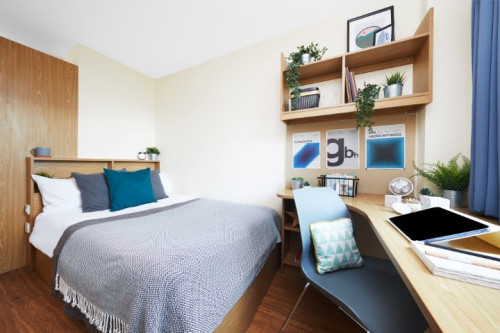 Collegiate Athena Hall - Gallery - 17