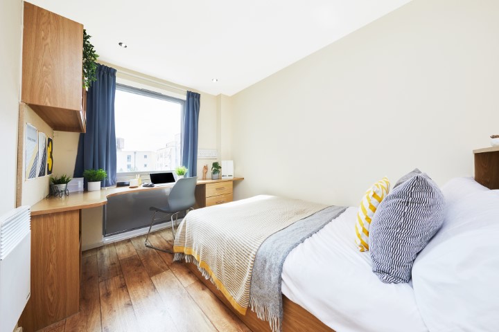  Bronze En-Suite  -  Collegiate Athena Hall  - Gallery -  1