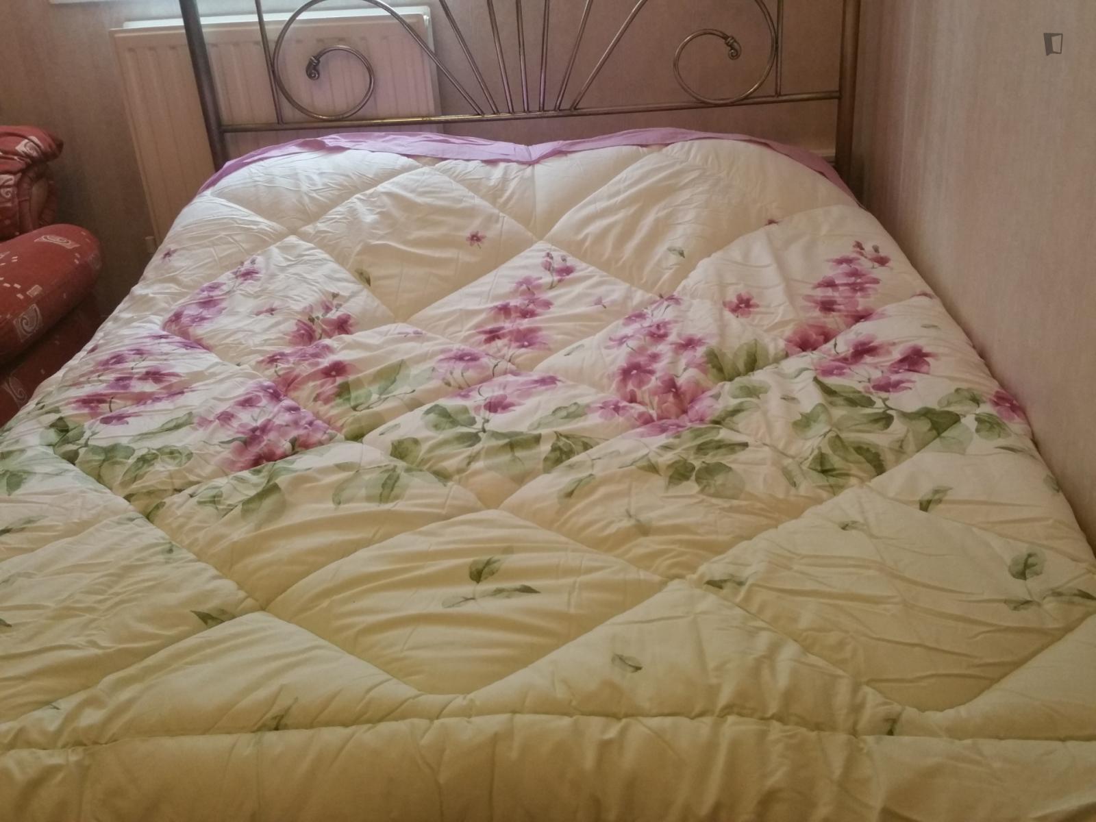 Appealing Double Bedroom In Camberwell - 1