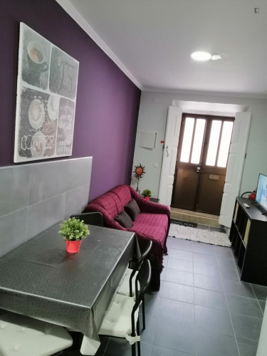 Very pleasant 2-bedroom apartment in central Troino