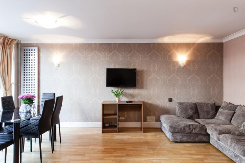 3-Bedroom apartment near City, University of London