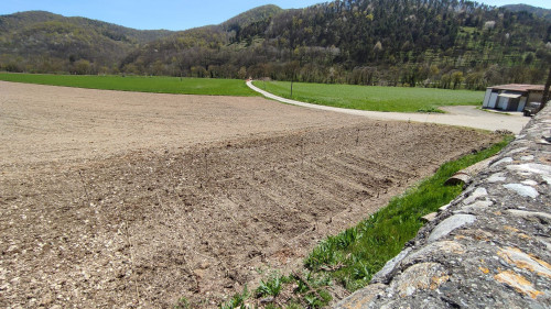 Vall De Camprodon Home - Gallery - 53