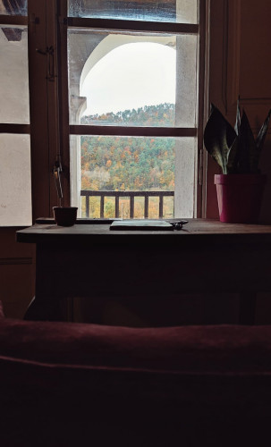 Vall De Camprodon Home - Gallery - 46