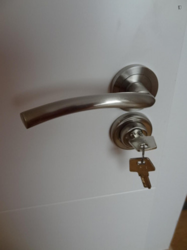 Single bedroom in 4-bedroom apartment