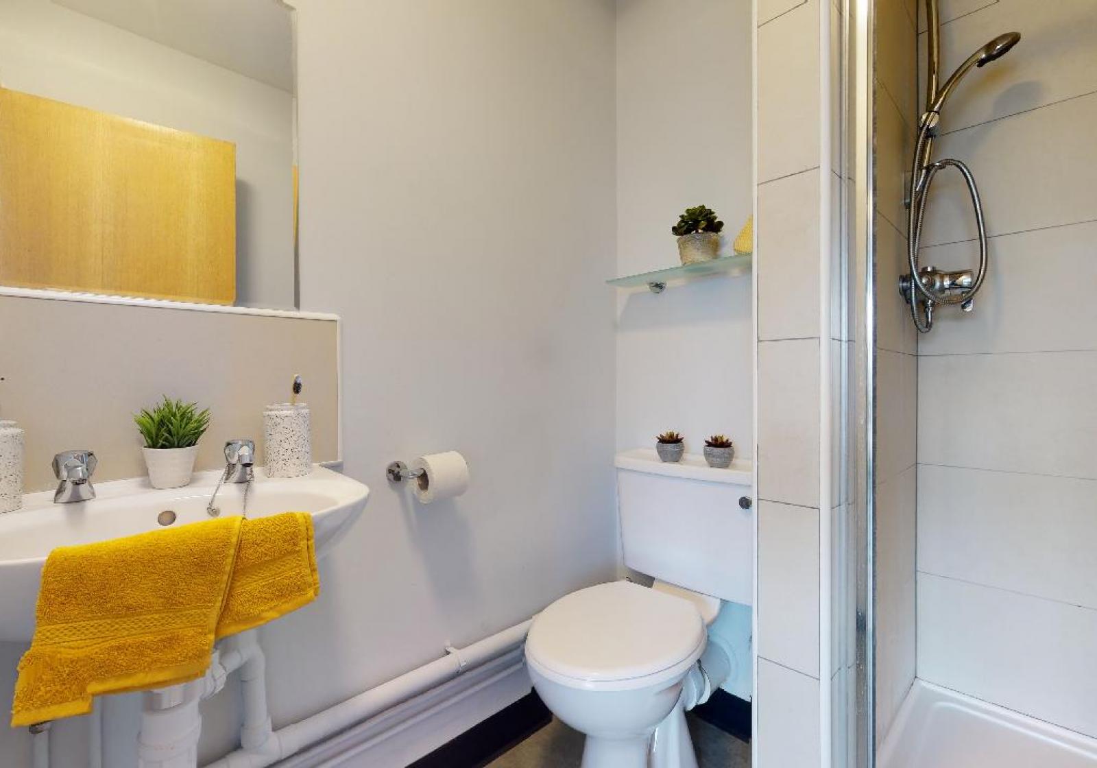  Platinum En-Suite  -  iQ Exchange  - Gallery -  4