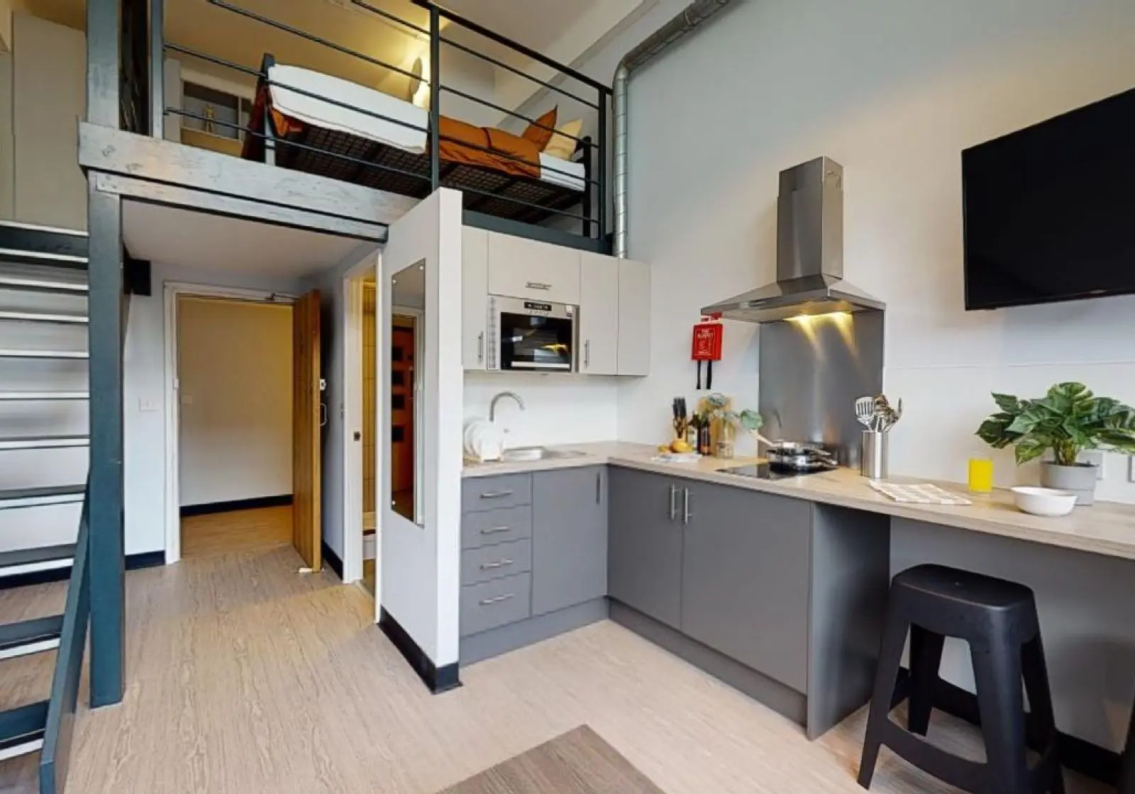 Bronze Duplex Studio - iQ Exchange - Gallery - 1