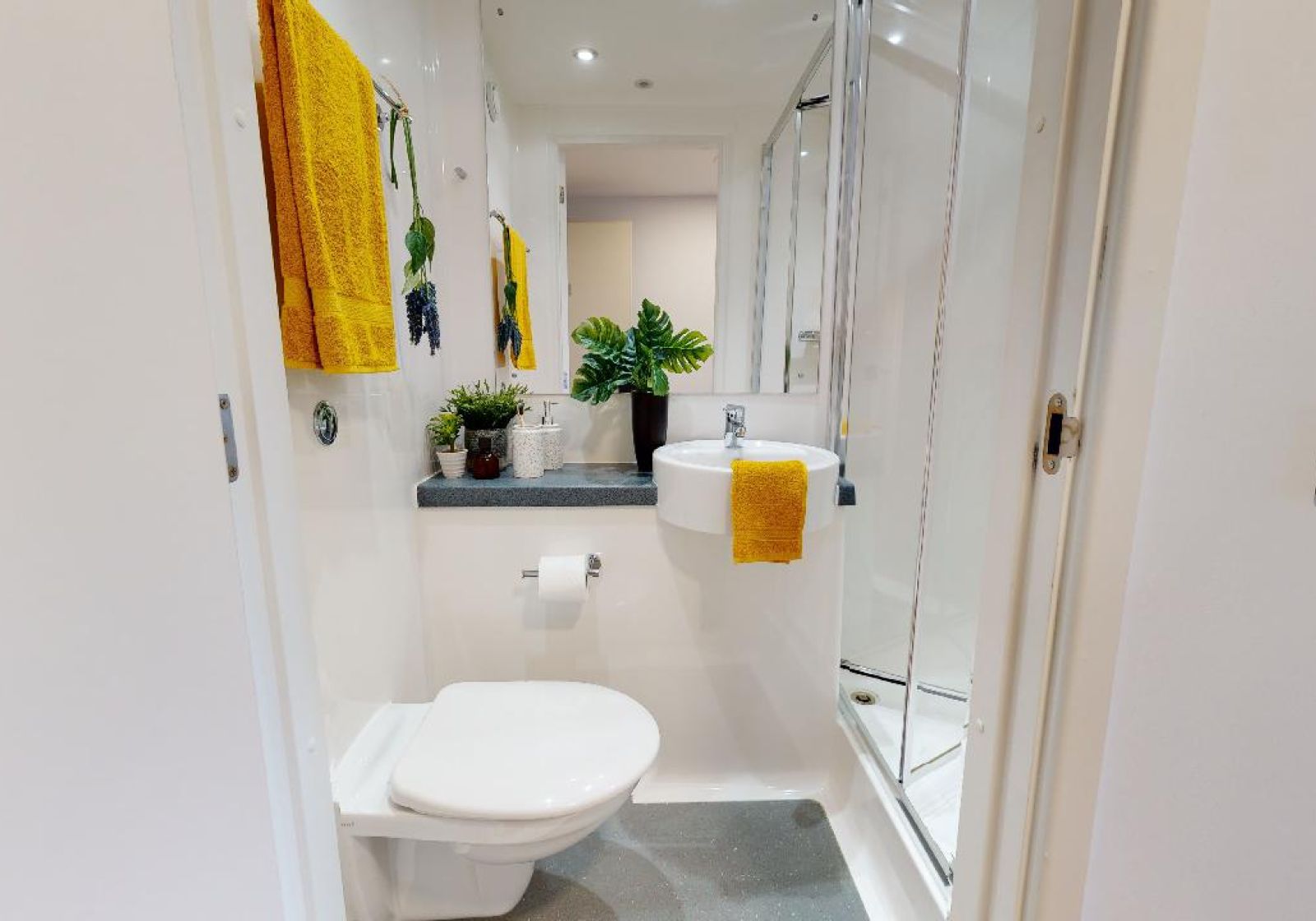  Platinum En-Suite Plus  -  iQ Collingwood  - Gallery -  6
