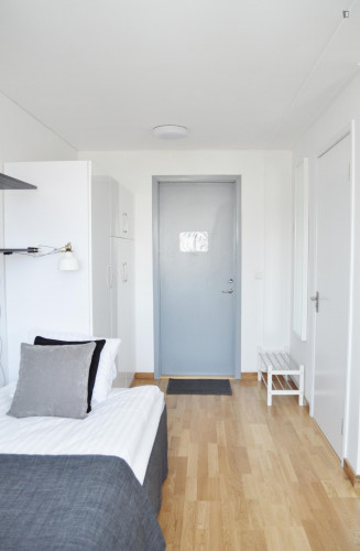 Neat studio in Lund