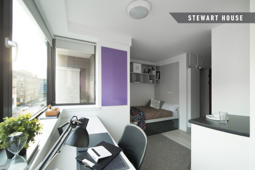 Stewart House - Gallery - 17