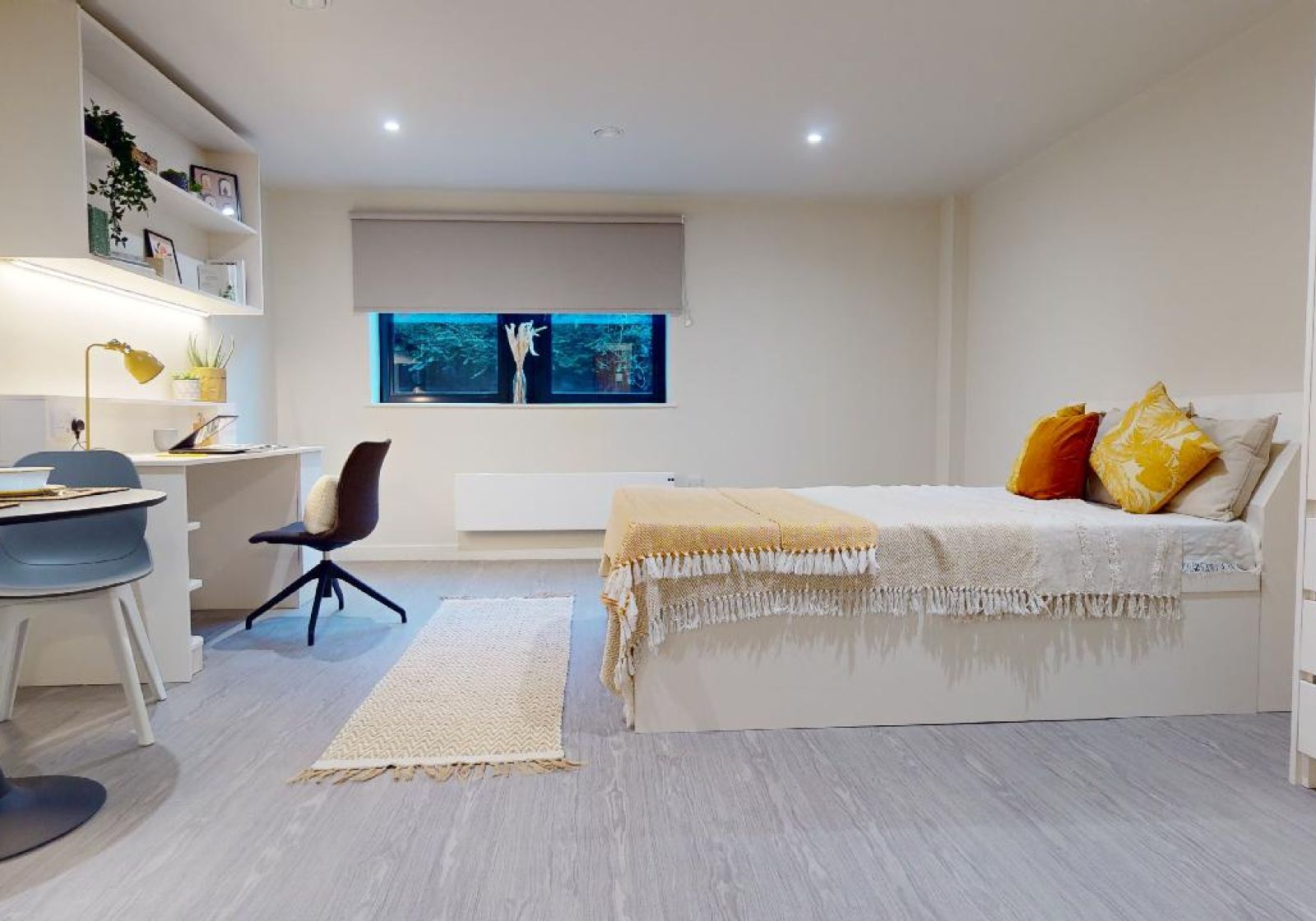  Platinum Studio Plus  -  اي كيو ليدز  - Gallery -  5