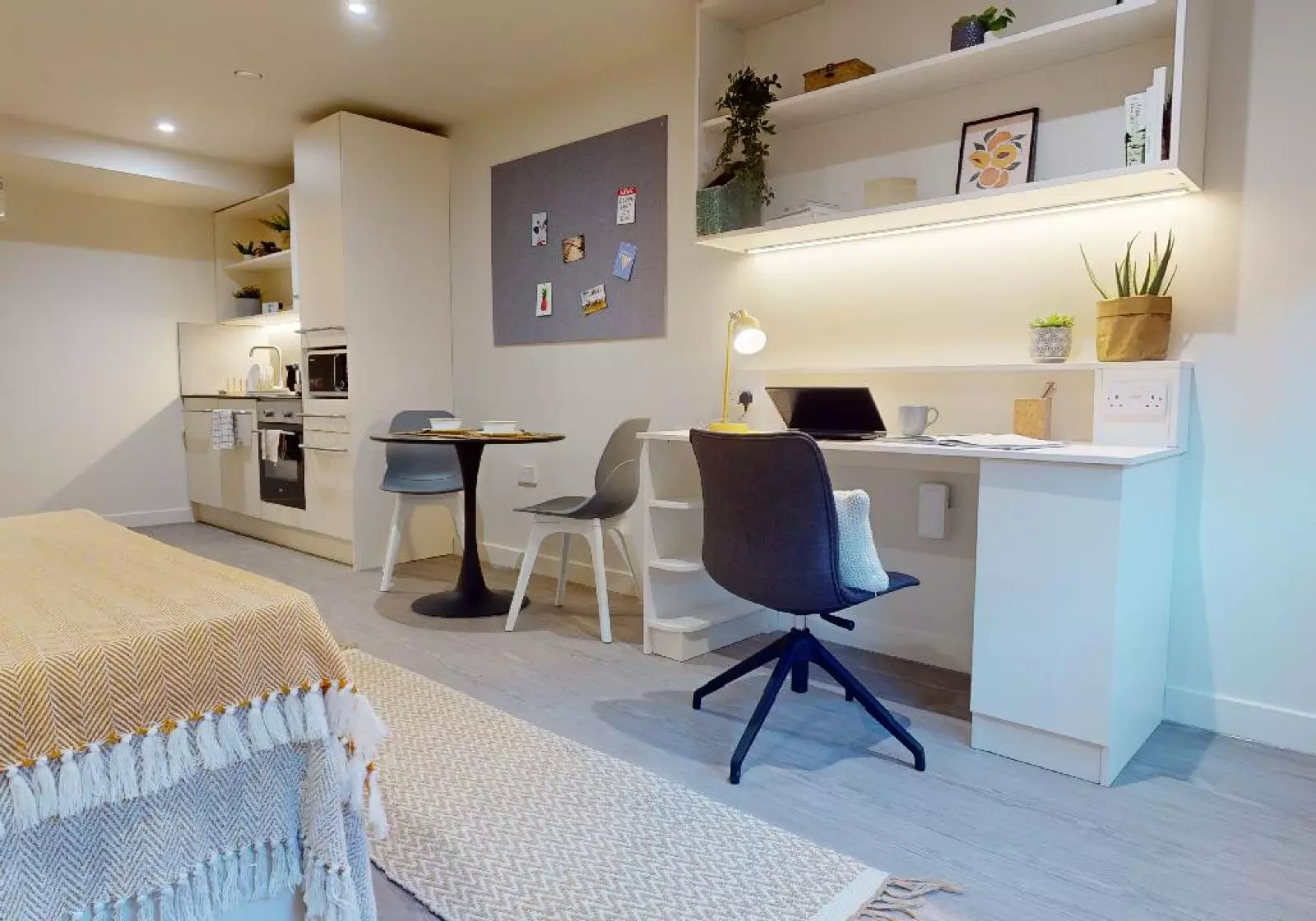  Platinum Studio Plus  -  اي كيو ليدز  - Gallery -  4