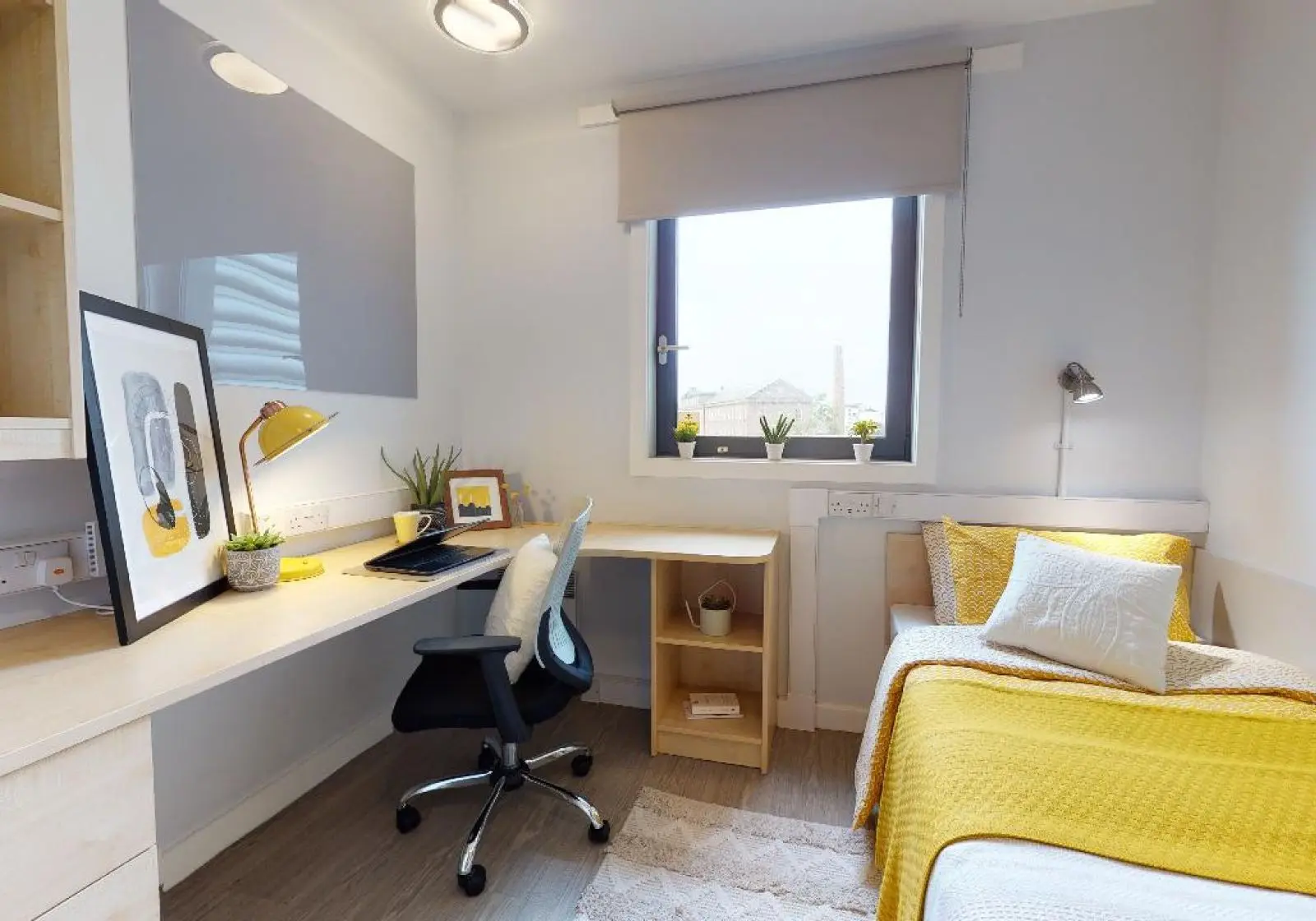  Bronze En-Suite Plus  -  IQ Parker House  - Gallery -  2