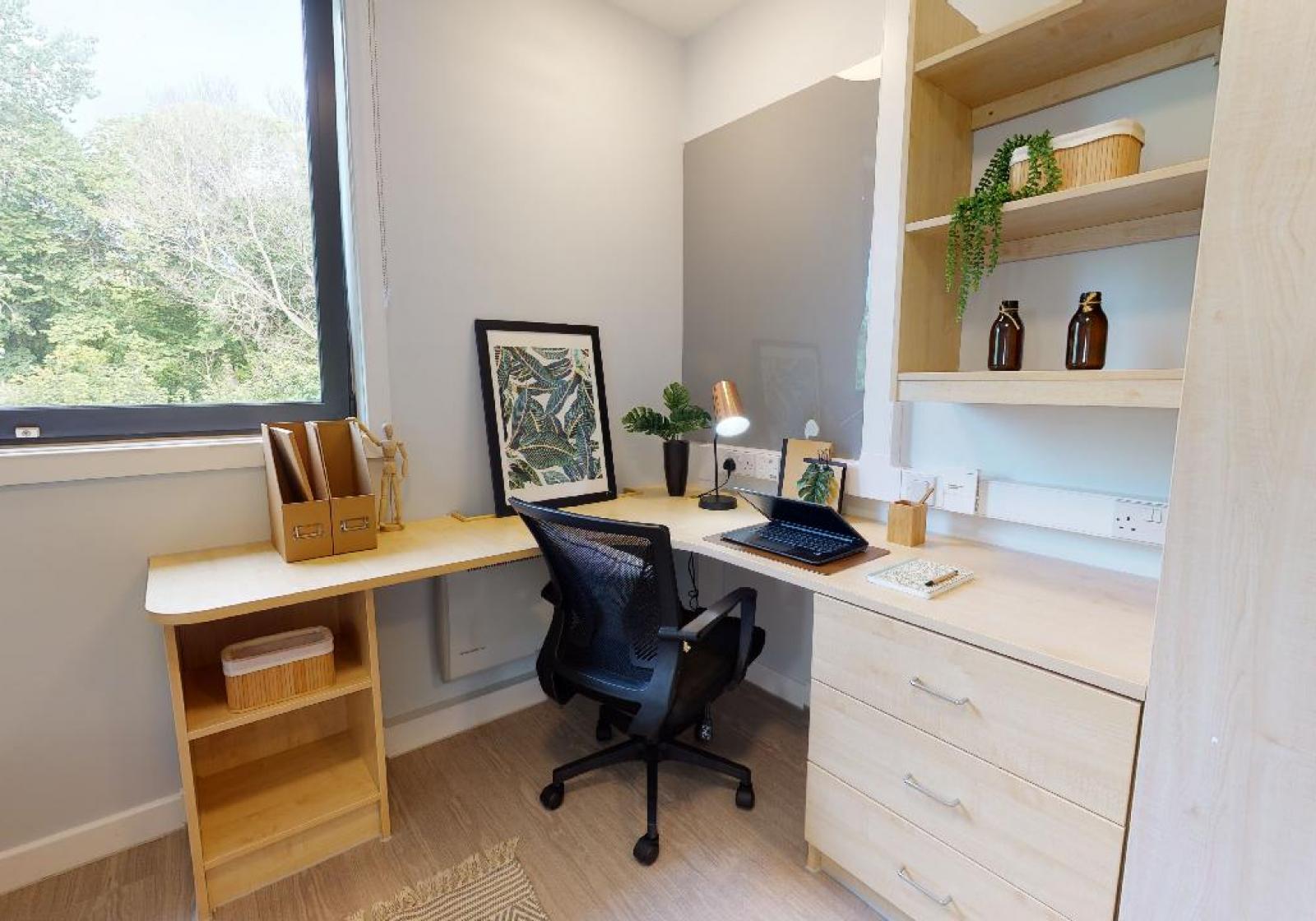  Gold En-Suite Plus  -  IQ Parker House  - Gallery -  6