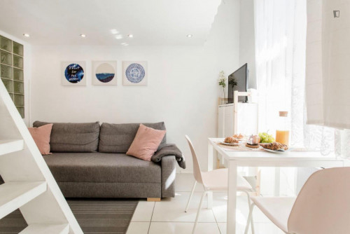 Lovely 1-bedroom apartment in the city center Rakoczi Avenue