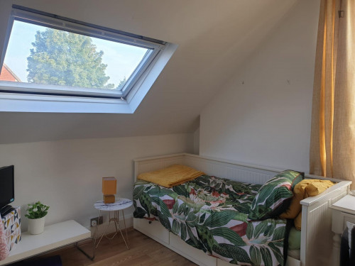 Very charming single ensuite bedroom, in a 6-bedroom house near the Roath Recreation Ground