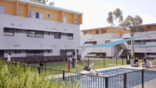 وسترن سيدني يو في باراماتا