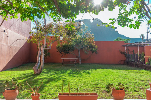 Juana González Residence - Gallery - 10